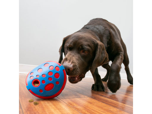 KONG Activation Toy Rewards Wally