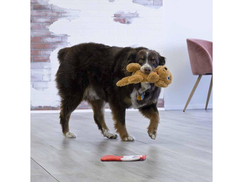 KONG - Comfort Pups Goldie M - 33x15x11.5CM