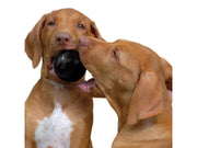 KONG Dog Toy Ball Extreme Small 6cm