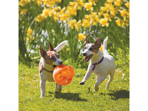 KONG Dog Toy Jumbler Ball Medium/Large 14cm