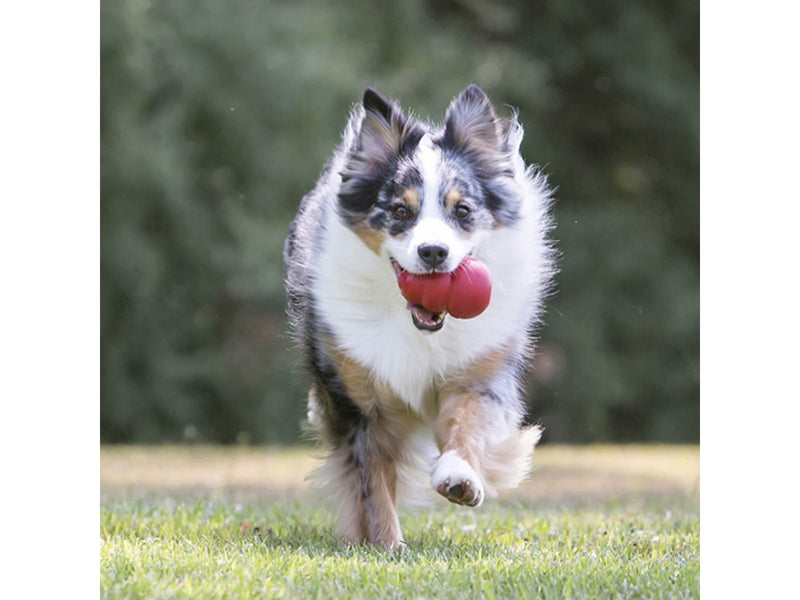 KONG Dog Toy Kong Classic XXLarge 15.2cm
