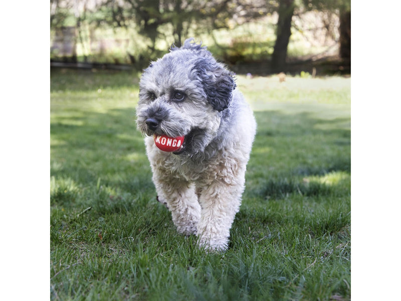 KONG Dog Toy Signature Balls Large 8cm (2-Pack)