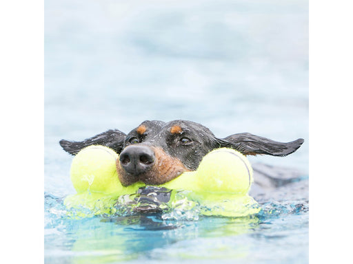KONG Hundespielzeug AirDog Squeaker Bone 11cm