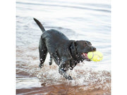 KONG Hundespielzeug AirDog Squeaker Football Large 16.5cm