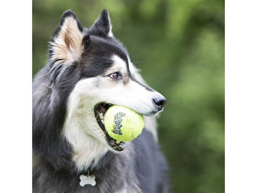 KONG Hundespielzeug SqueakAir Ball XLarge 10cm