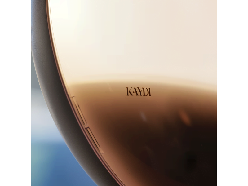 Kaydi One