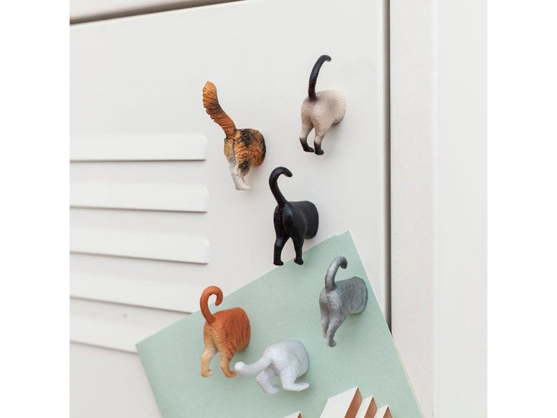 Kikkerland Cat Butt Magnets