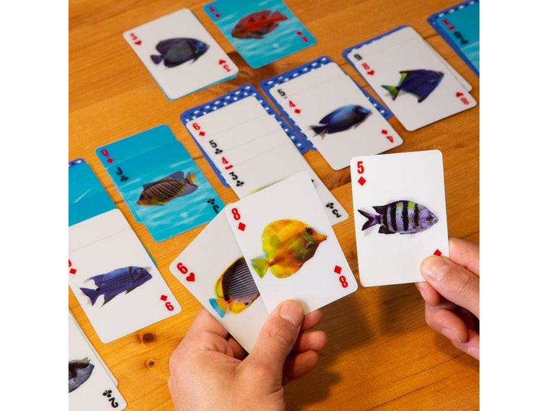 Kikkerland - Fish 3D Cards
