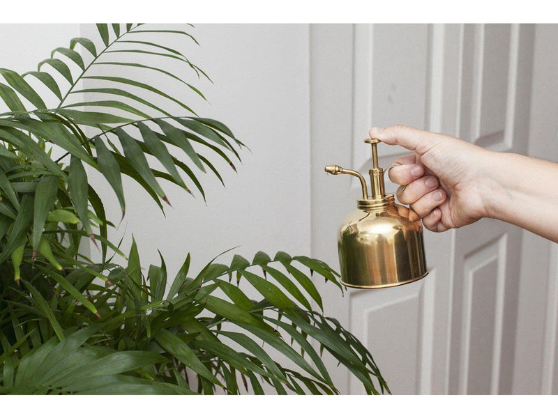 Kikkerland - Plant Mister Brass (CD508)