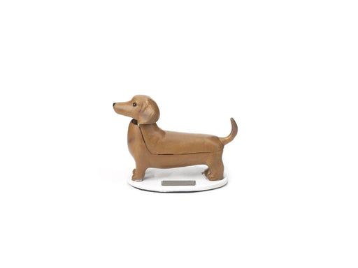 Kikkerland - Solar Dachshund - Boudewijn (1612)