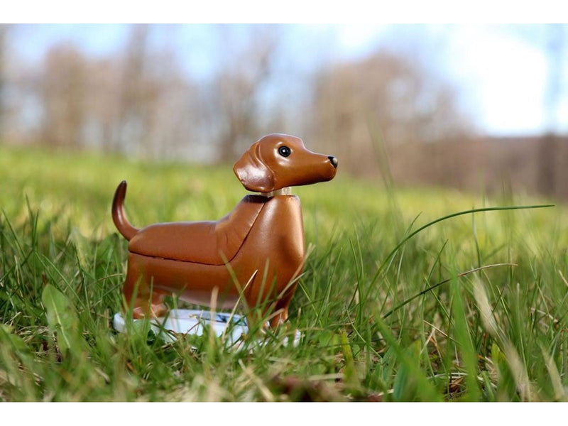 Kikkerland - Solar Dachshund - Boudewijn (1612)
