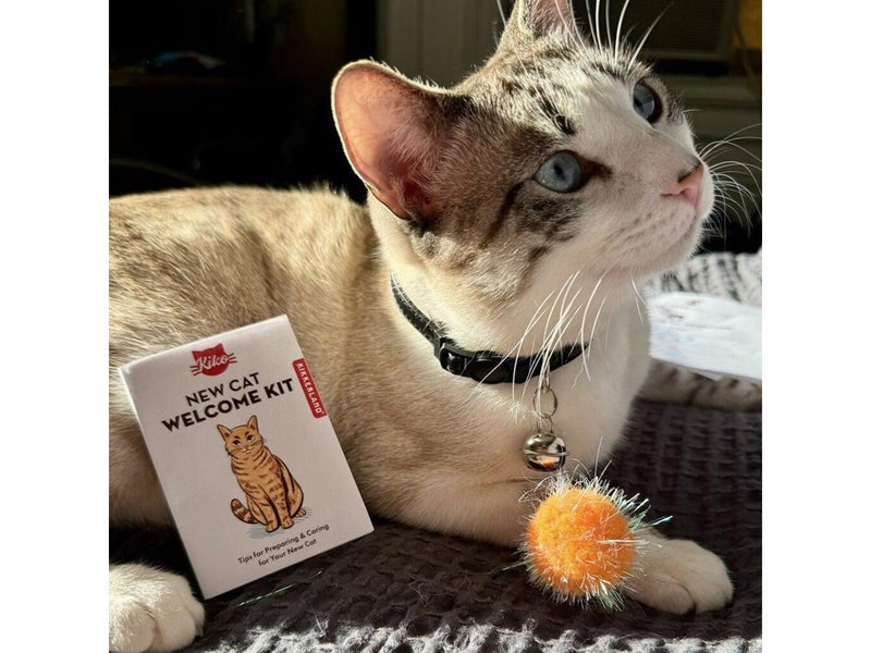 Kikkerland - Welcome Cat Tin