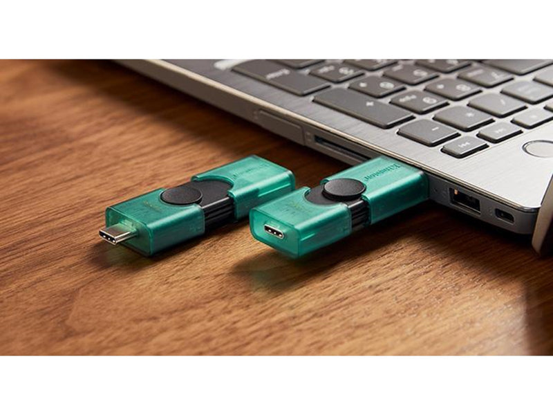 Kingston DataTraveler DuoG2 - 256GB - USB-Stick