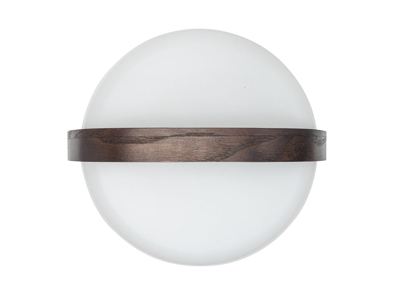 Kooduu Lite-up Play Portable speaker lamp powered