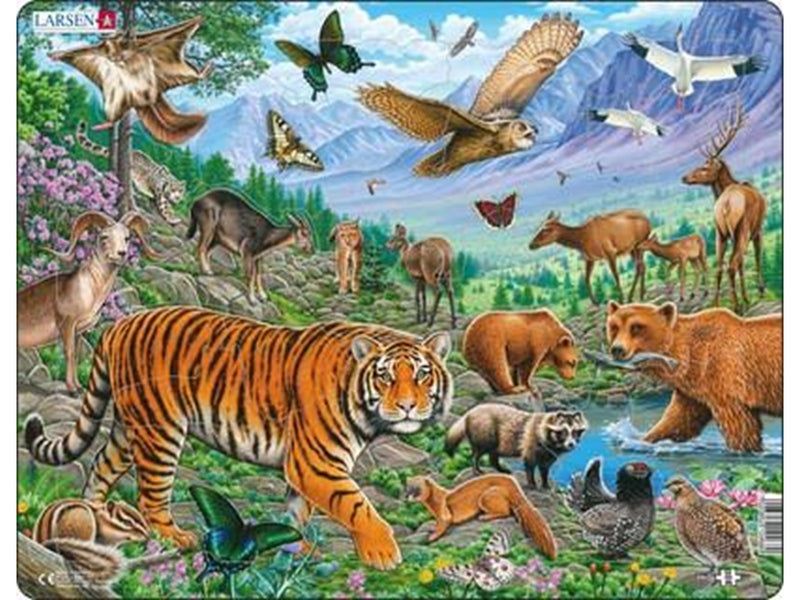 Larsen Puzzles Puzzle Siberian tiger summer - 36 pieces Maxi (36.5x28.5 cm) 2D Puzzles