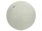 Leitz  Ergo Active Sitzball mit Anti-Wegroll-Design, 55cm Grau
