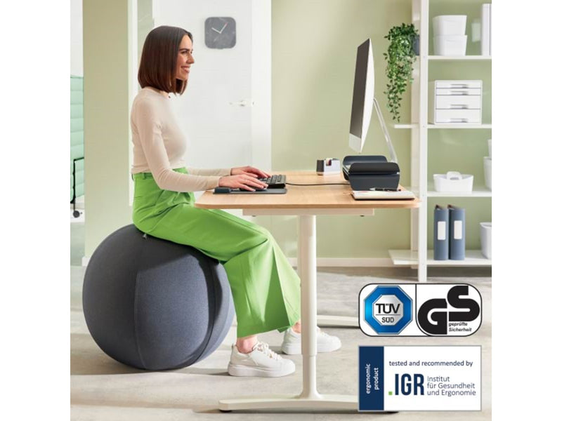 Leitz  Ergo Active Sitzball mit Anti-Wegroll-Design, 65cm Dunkelgrau