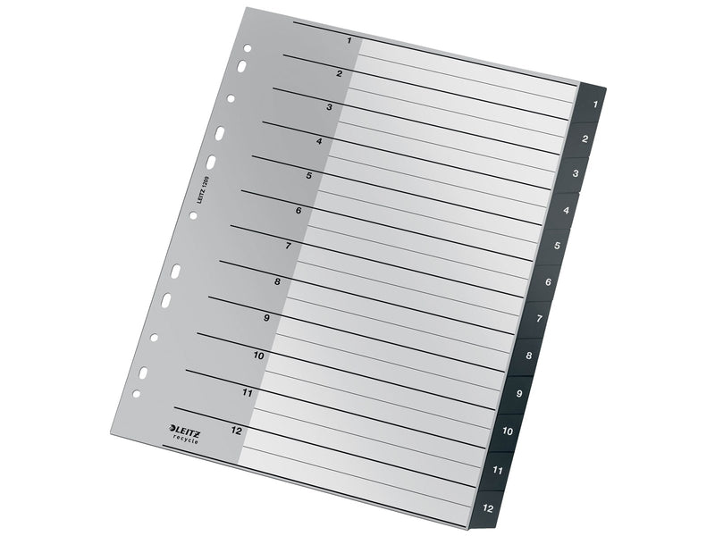 Leitz Recycle Register, PP, extrabreit