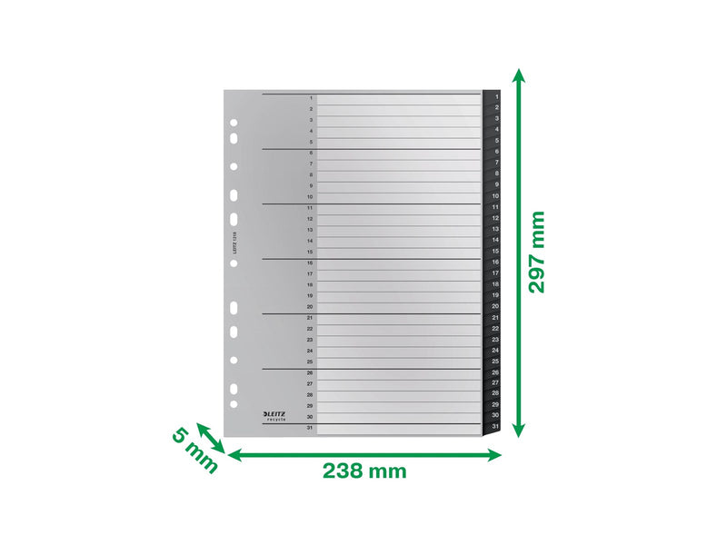 Leitz Recycle Register, PP, extrabreit