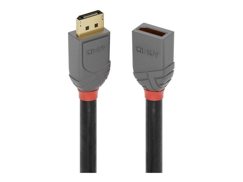 Lindy Anthra Line - DisplayPort extension cable - DisplayPort to DisplayPort - 50 cm
