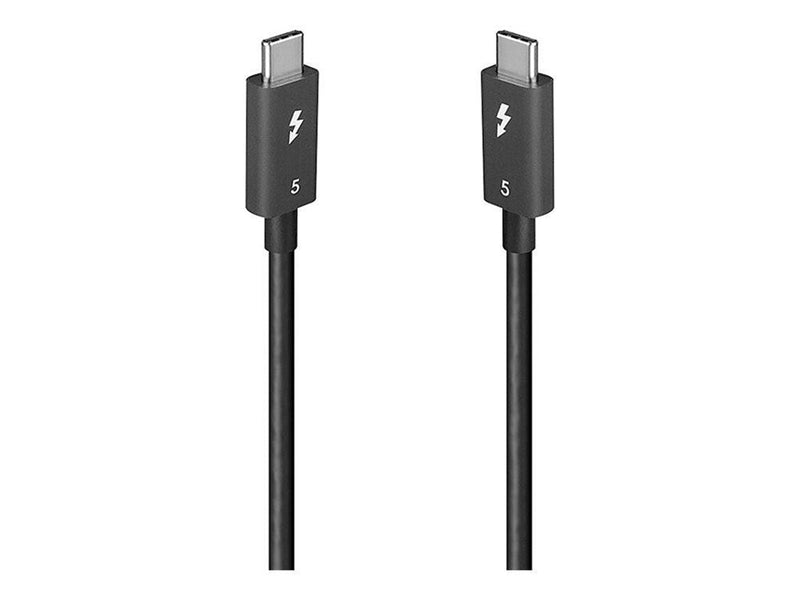 Lindy - USB-C cable - 24 pin USB-C to 24 pin USB-C - 1 m