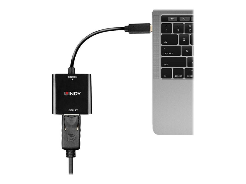 Lindy - video adapter - 24 pin USB-C to DisplayPort - 21 cm