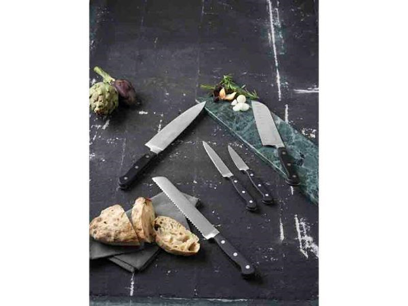 Lion Sabatier Pluton knife set steel/black