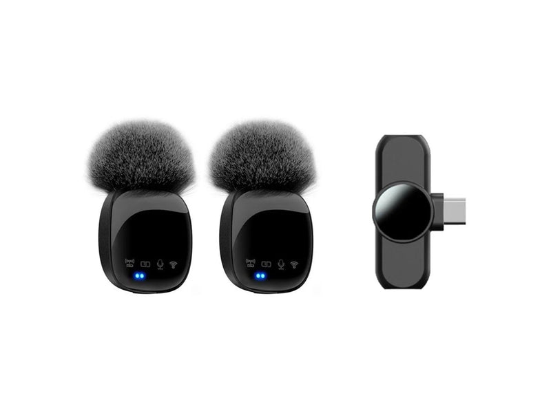 Lippa Dual Wireless Wind Protected Microphone With USB-C Connector