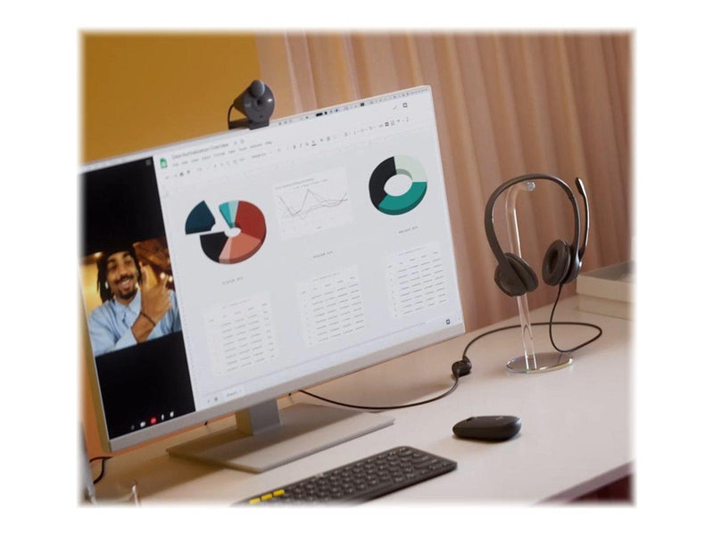 Logitech H390 USB Computer Headset - Black