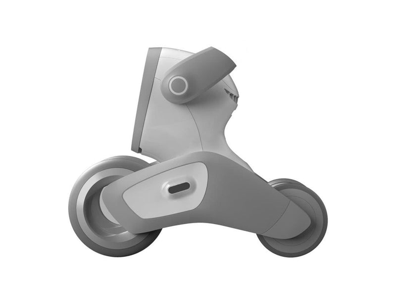 Loona Premium Interactive Robot