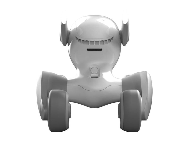 Loona Premium Interactive Robot
