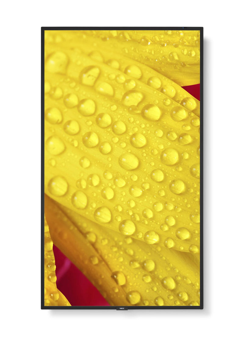 NEC MultiSync M551-2 Digital Signage Display 138,8 cm 55 Zoll
