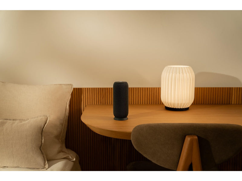 Motorola moto sound flow - PANTONE Carbon