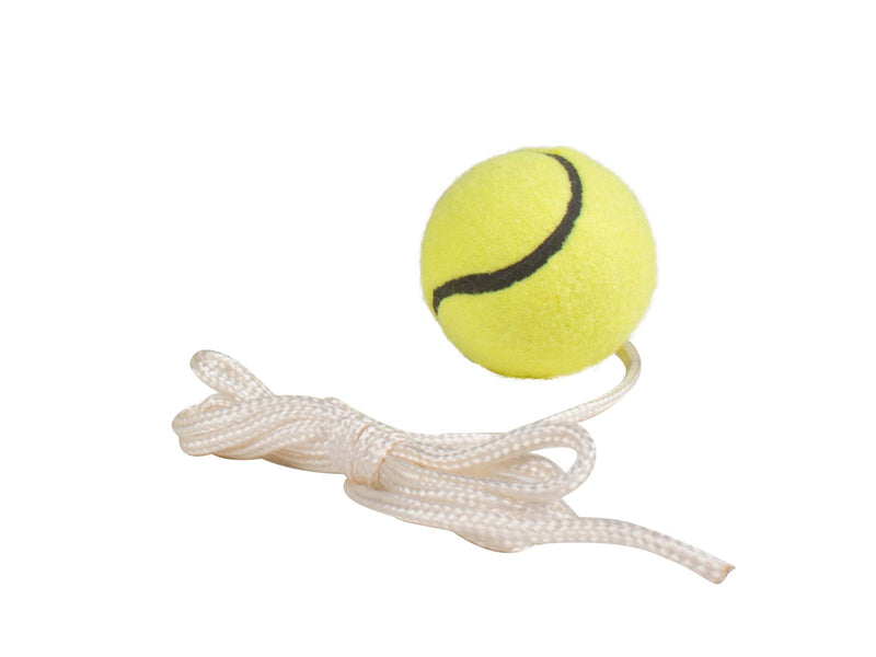 My Hood Extra Ball for Pole Tennis
