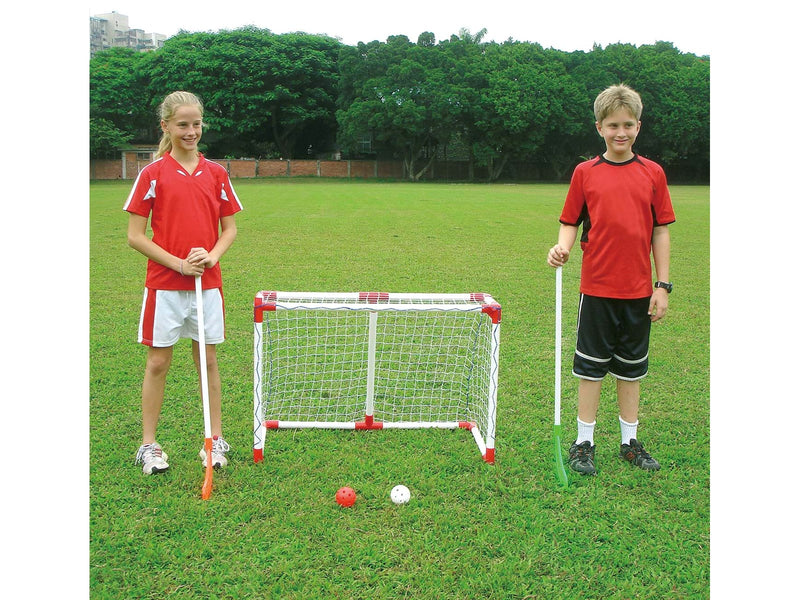 My Hood Hockey Goal