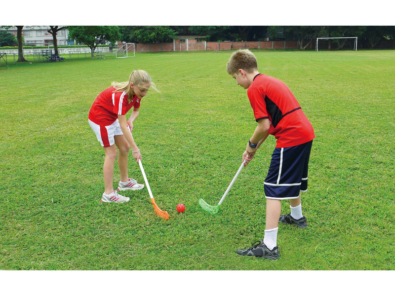 My Hood Hockey Goal