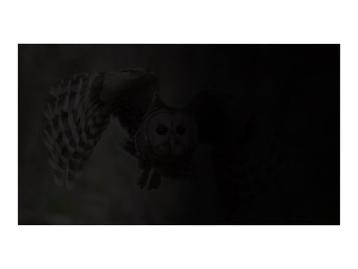Natec OWL notebook privacy filter