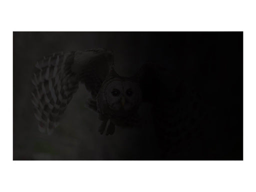 Natec OWL notebook privacy filter