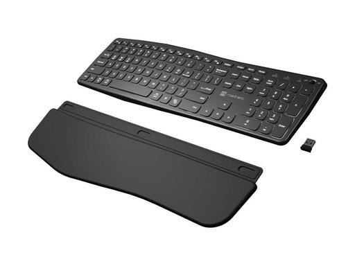 Natec PORIFERA - keyboard full size - QWERTY - US - black Input Device - Tastatur - Englisch (US) - Schwarz