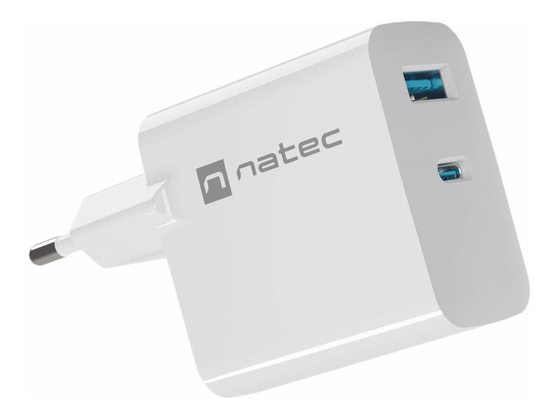 Natec Ribera power adapter - GaN - USB 24 pin USB-C - 65 Watt