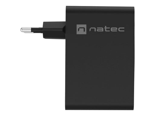 Natec Ribera power adapter - GaN - USB 3 x USB-C - 100 Watt