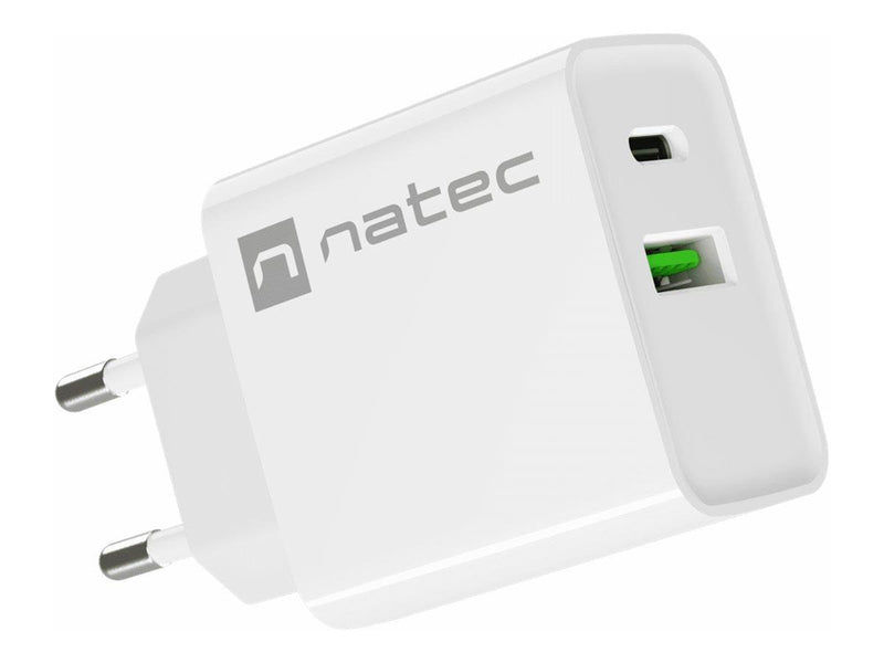 Natec Ribera power adapter - USB 24 pin USB-C - 20 Watt