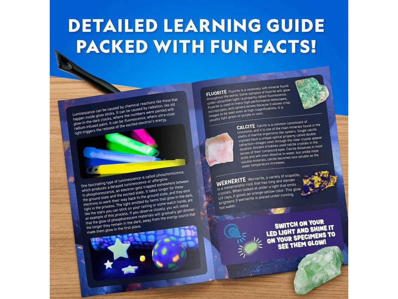 National Geographic Glow In The Dark Dino Dig Kit