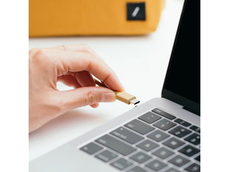 Native Union Anchor USB cable