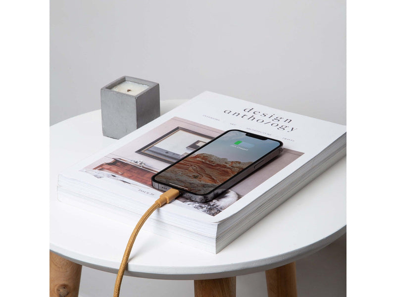 Native Union Belt Cable