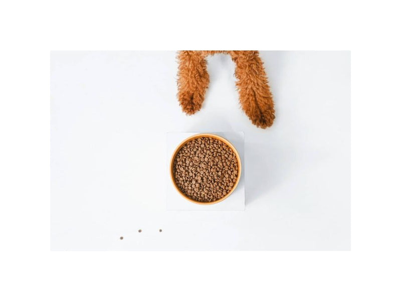 Nature's Protection Superior Care Red Coat Adult Small breed Grain free Salmon - dry dog food - 10kg
