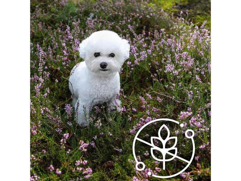 Nature's Protection Superior Care White Dogs Grain Free Adult Small Lamb - dry dog food - 4 kg