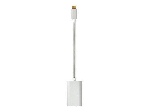 Nedis Fabritallic - USB / DisplayPort adapter - 20 cm