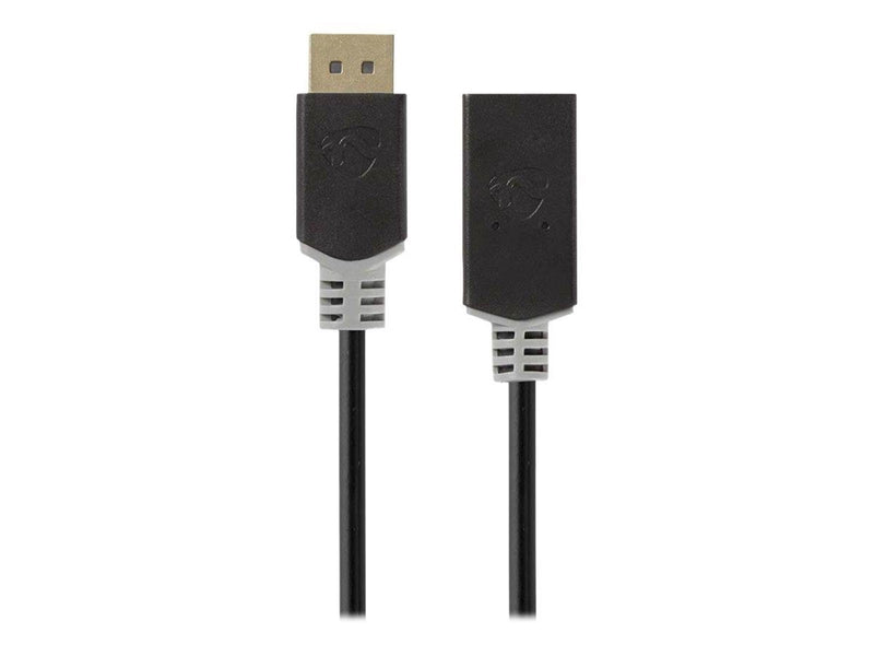 Nedis adapter - DisplayPort / HDMI - 20 cm