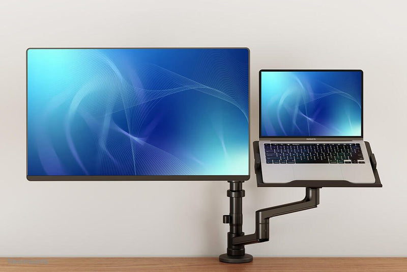 Neomounts DS20-425BL2 Monitor Tischhalterung